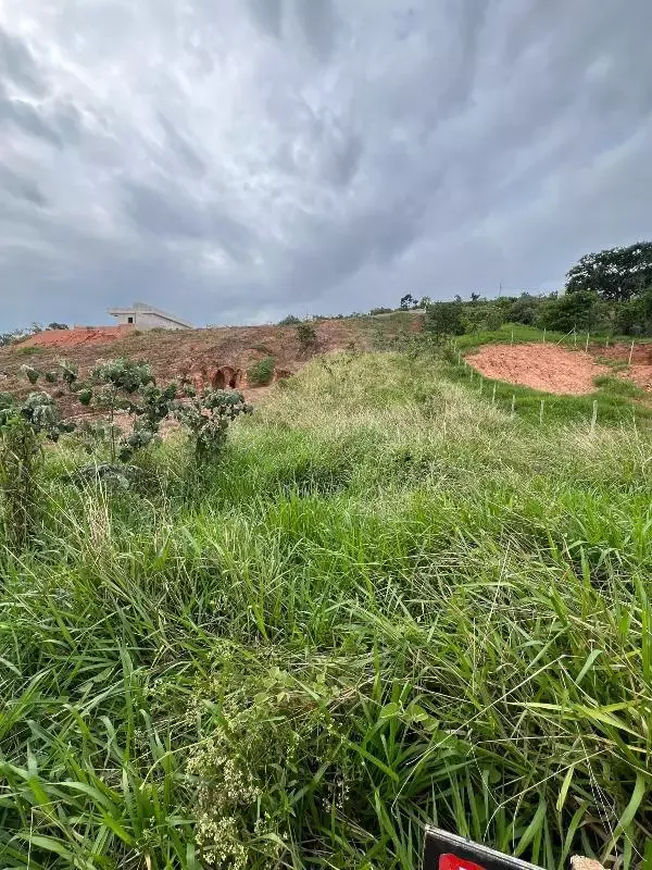 Lote à venda, Tropical
