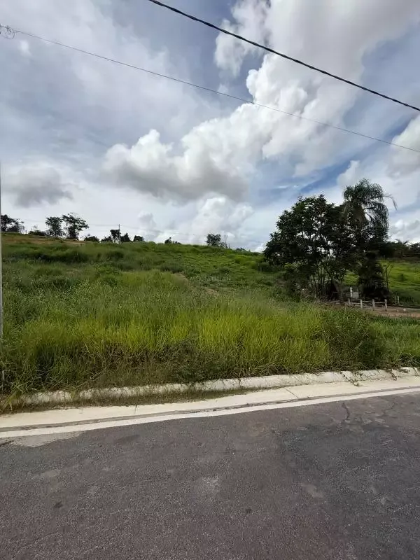 Lote à venda, Monte Carlo