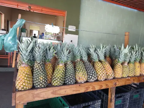 Rei Do Abacaxi