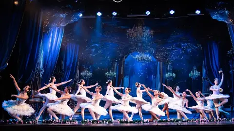 Life Dance Studio de Ballet e Jazz