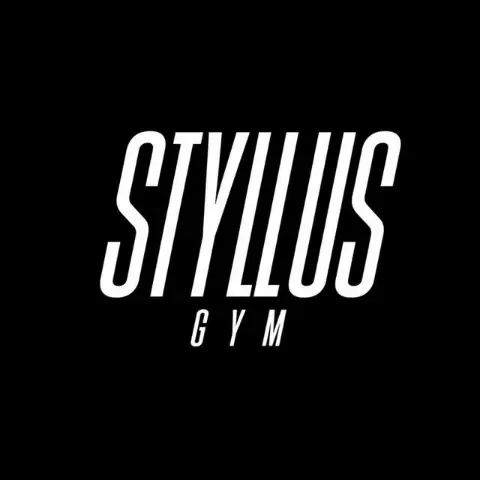 Academia Styllus Itaúna