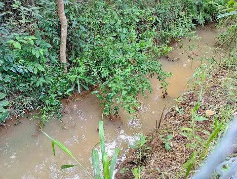 Chácara 1.150 m² à venda em Cachoeirinha