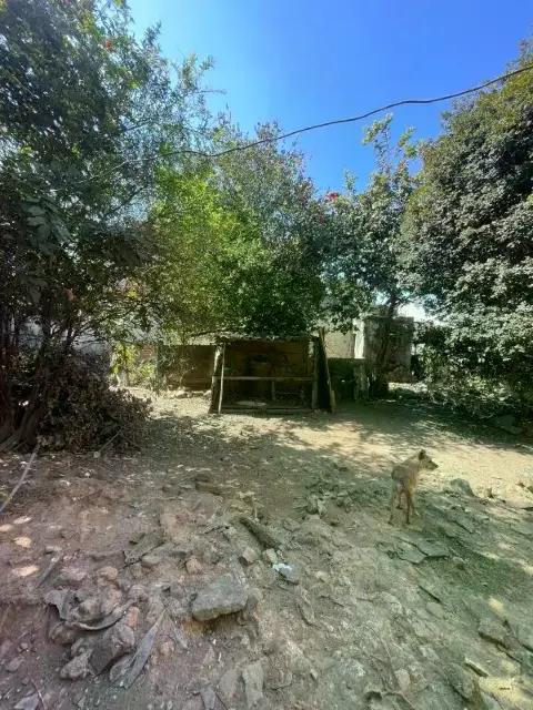 Lote à venda, Graças