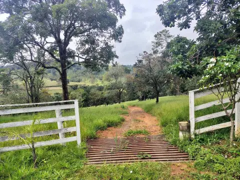 Fazenda 78 hectares à venda