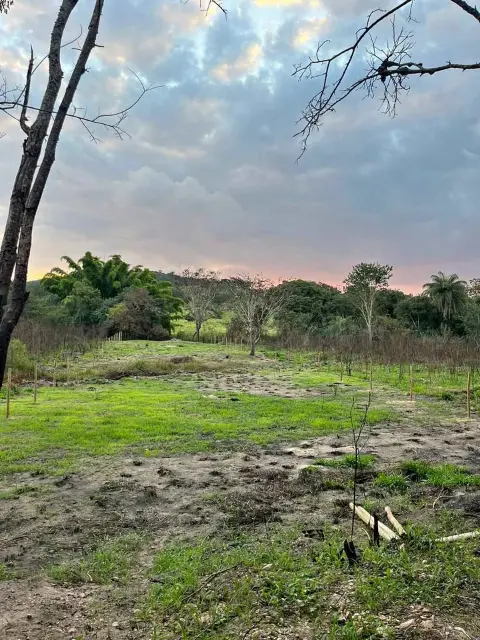Chácara 1500 m2 à venda em Três Barras