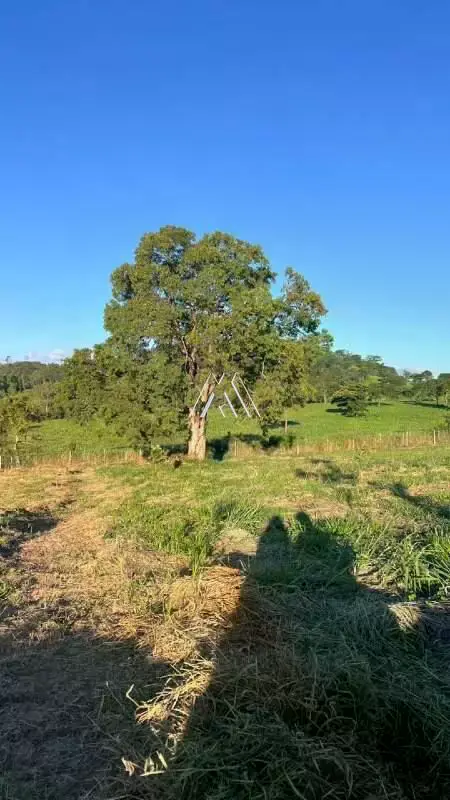 Imóvel para Venda - Área Rural - Itaúna MG