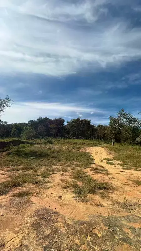 Terreno de 11.500 m² à venda na Barragem Benfica