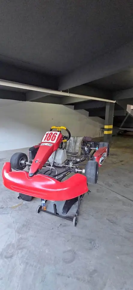 2009 MINI kart