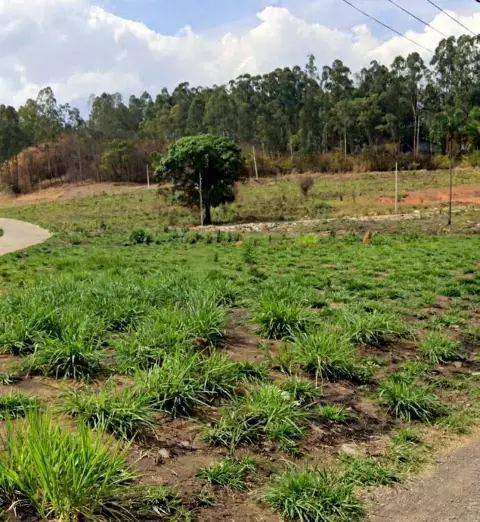 Lotes comerciais à venda em Itaúna