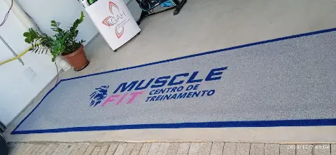 CT Muscle Fit