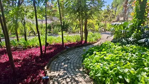 Floricultura e Paisagismo Pablo Eliezer