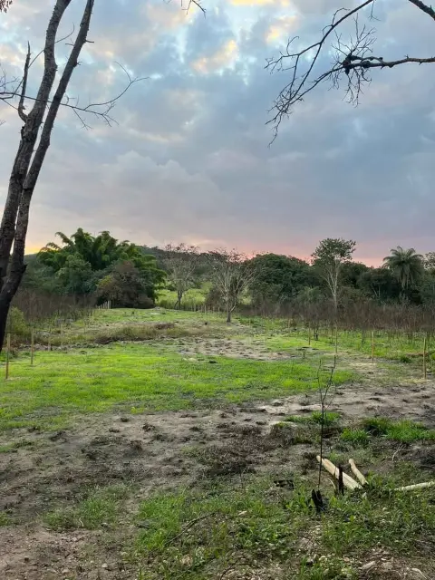 Chácara com água corrente em Três Barras