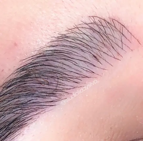 Liddy Silva Beauty Clinic microblading fio a fio, micropigmentação labial, sobrancelhas fio a fio, micropigmentação Itaúna