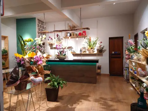 Floricultura Colibri Flor & Arte