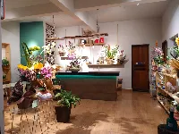 Floricultura Colibri Flor & Arte
