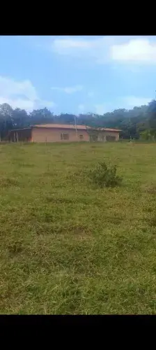 Ótima oportunidade