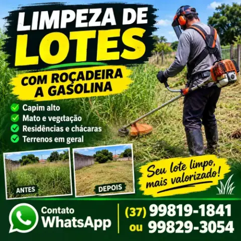 Limpeza de Lotes
