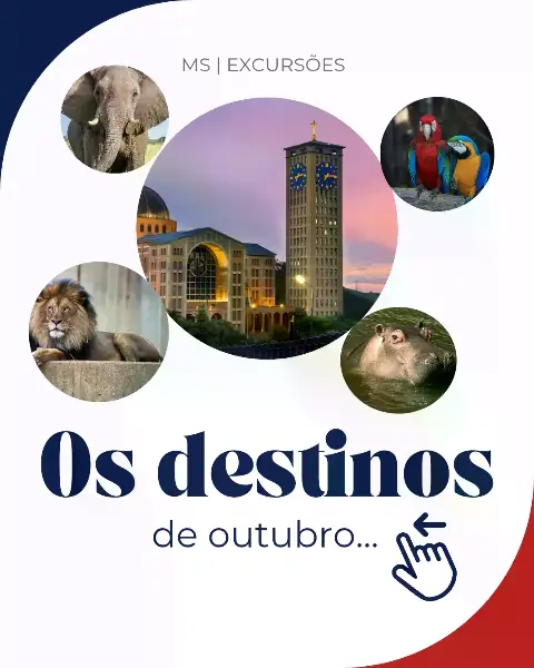 Excursões de outubro com a MS Turismo