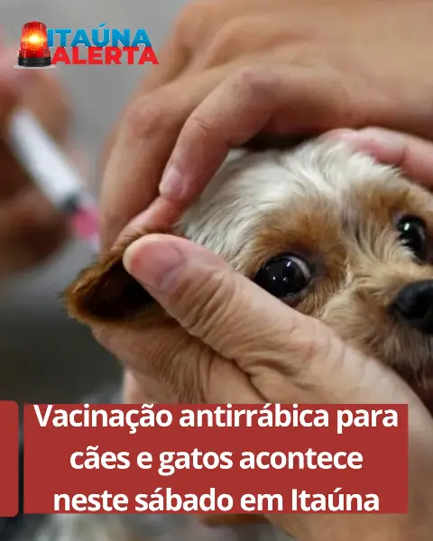 Vacinação antirrábica para cães e gatos neste sábado