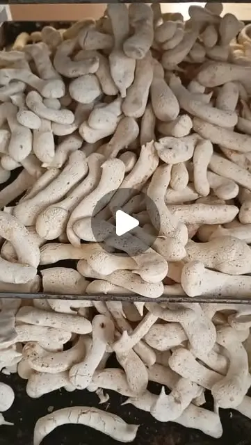 Padaria Pão Nosso: pães frescos todos os dias