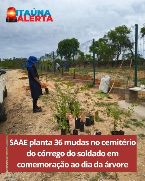 SAAE planta 36 mudas de árvores no Cemitério do Córrego do Soldado