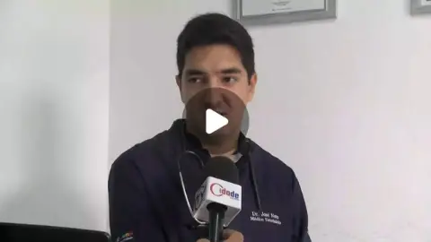 Maus-tratos a animais podem gerar responsabilização dos tutores