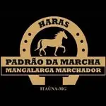 Haras Padrão da Marcha — Fazenda na Zona Rural