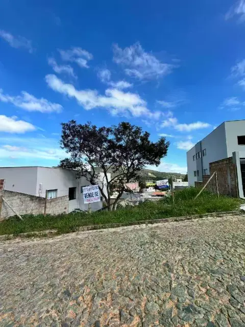 Lote à venda, Centenário