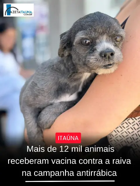 Campanha antirrábica vacina 12.863 animais até o momento