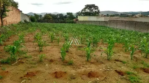 Vendo lote todo murado no Vale das Aroeiras