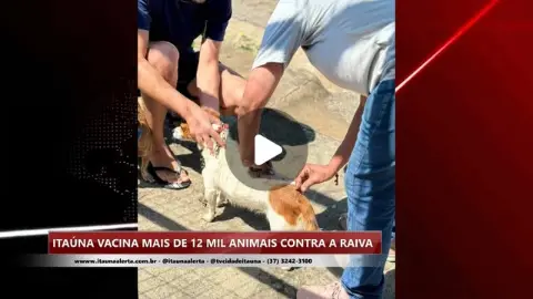 Itaúna vacina mais de 12 mil animais contra a raiva