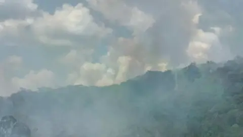 VÍDEO: Incêndio destrói área equivalente a 42 campos de futebol e ameaça casas em MG