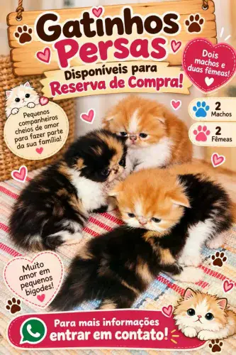 Reserva de vendas para Gatos Persas