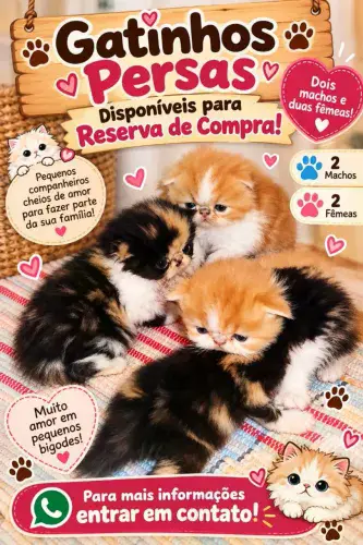 Reserva de compra de Gatinhos Persas