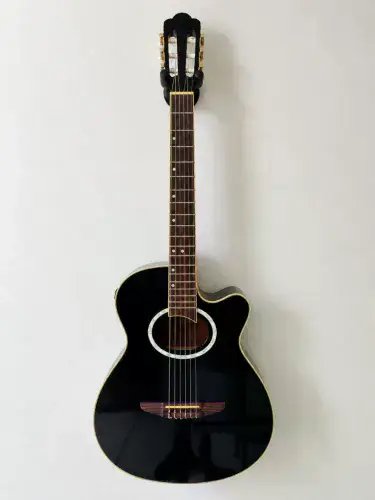 Violão Tagima