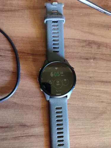 Relógio Garmin 255