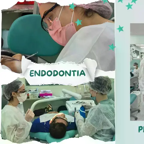 Clínica de Endodontia da UIT – Prática Profissional