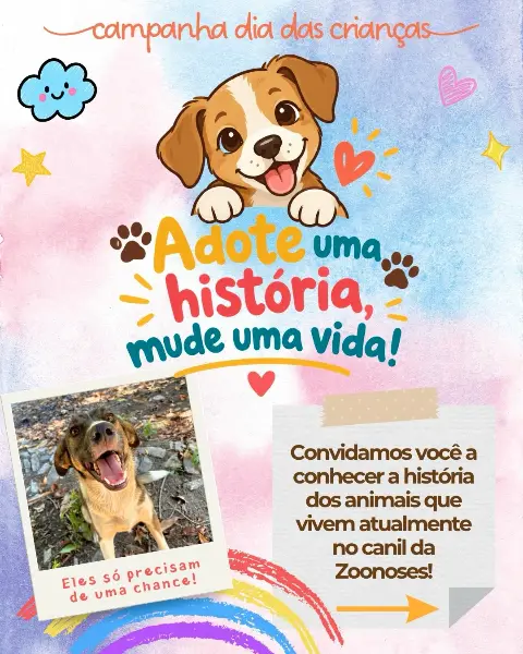 Adoção de cães e gatos no canil da Zoonoses