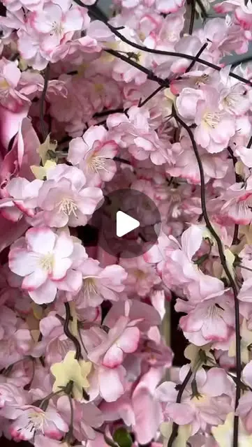 Lojas São Geraldo aderem ao Outubro Rosa em Itaúna