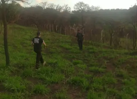 Ossada humana é encontrada nas proximidades da MG-431