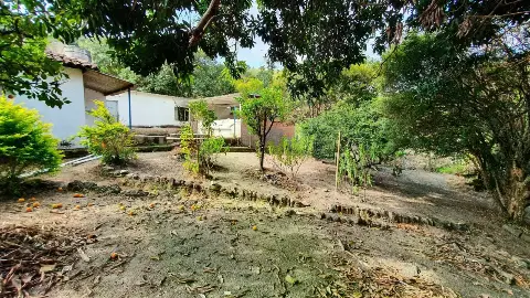 SITIO à venda, 3 quartos, Paulas (Zona Rural)