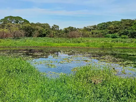 Chácara à venda, 3 quartos, Brejo Alegre (Zona Rural)