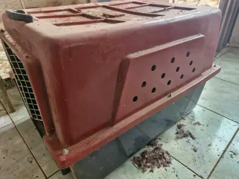 Vende-se casinha de cachorro N°5