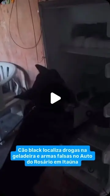 Rapaz preso por tráfico de drogas no Alto do Rosário