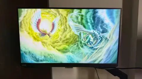 Monitor Samsung 25? polegadas 240hz
