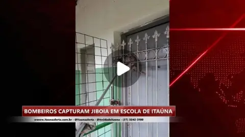 Bombeiros capturam jiboia em escola