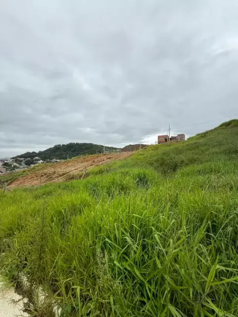 Lote à venda, Monte Carlo