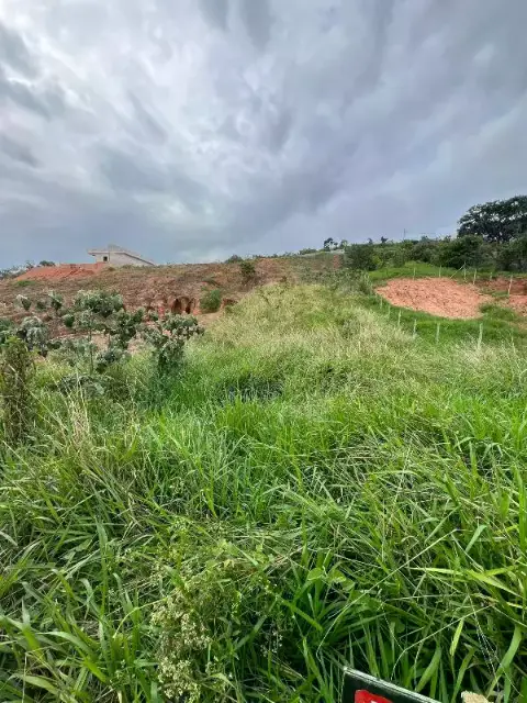 Lote à venda, Tropical