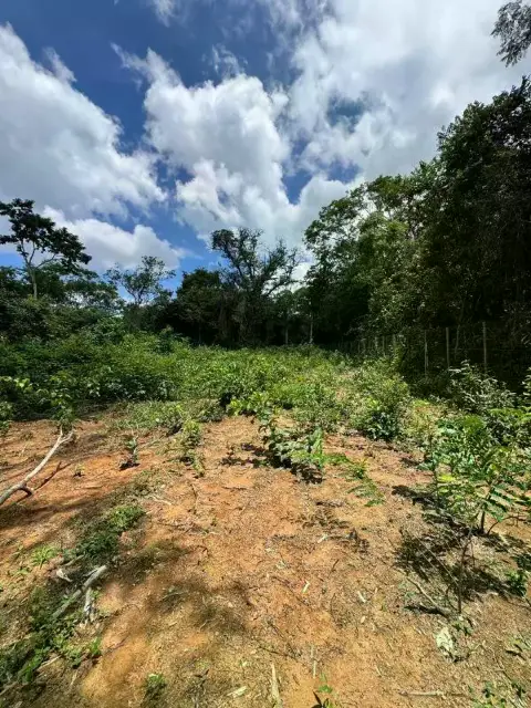 Chácara à venda, Condomínio Arrail do Lago