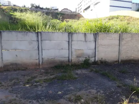Lote - Belvedere